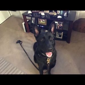 Meet your Posher, Sally